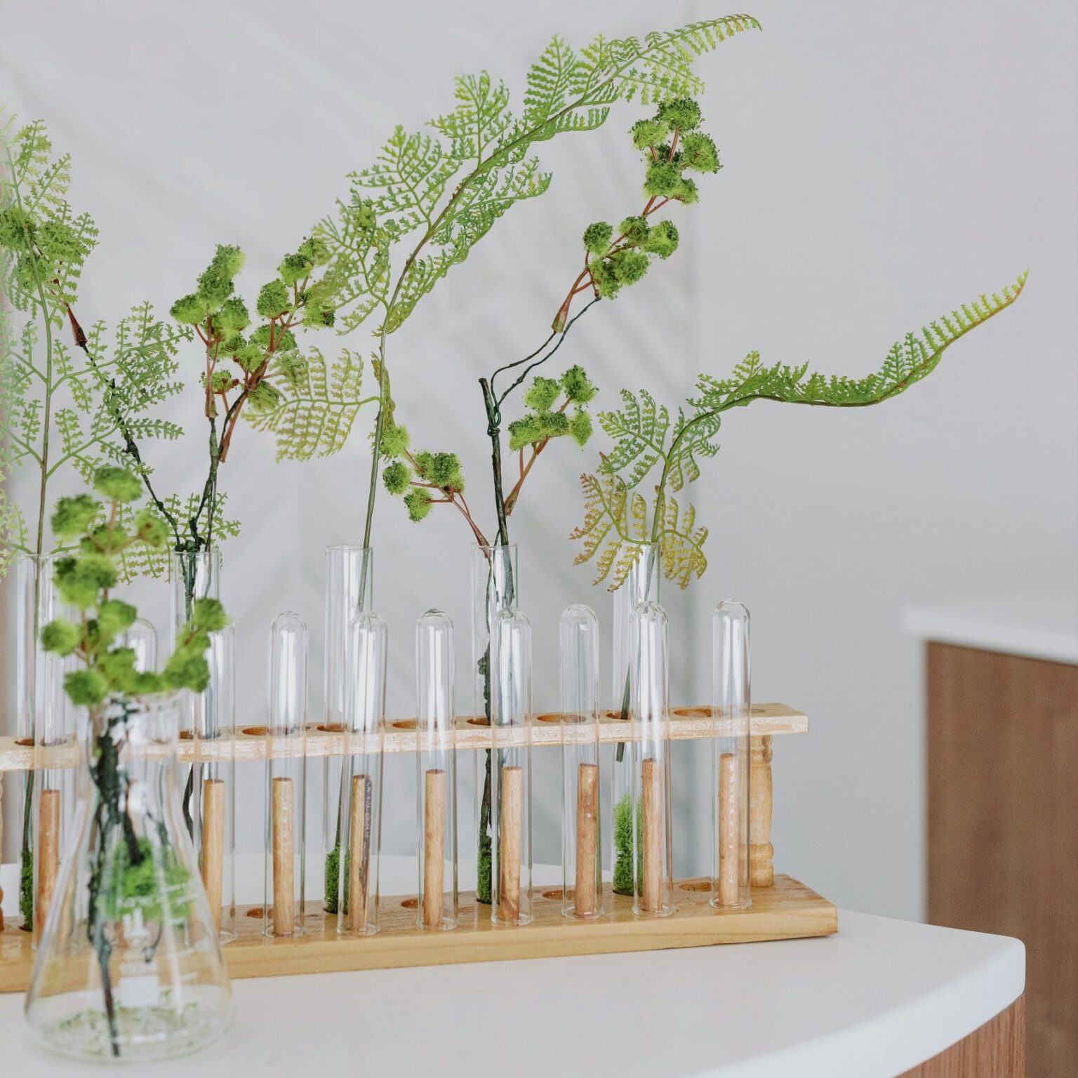 Apteek Pharmacy Nature-Inspired Interiors | Nina Magon Studio