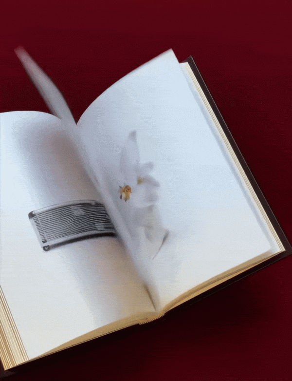 Nina Magon - Holiday Gift Guide